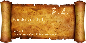 Pandula Lili névjegykártya